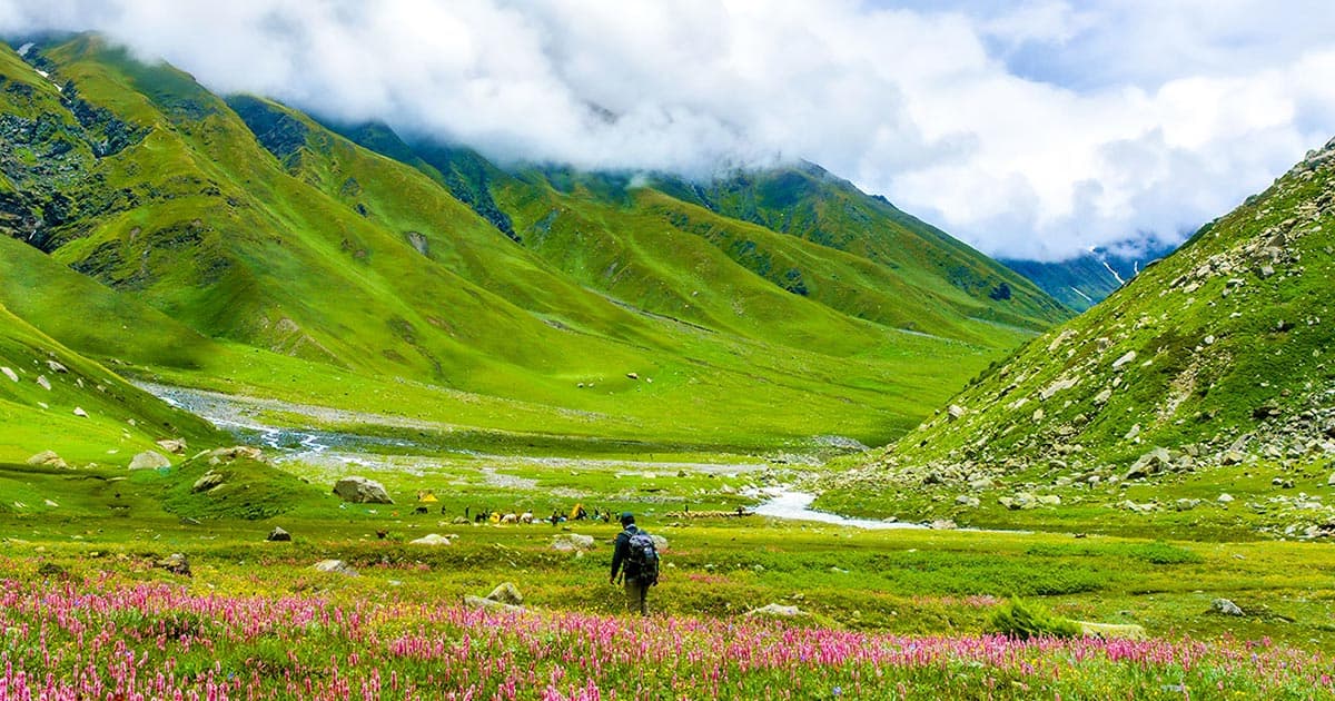 Pin Bhaba View 3