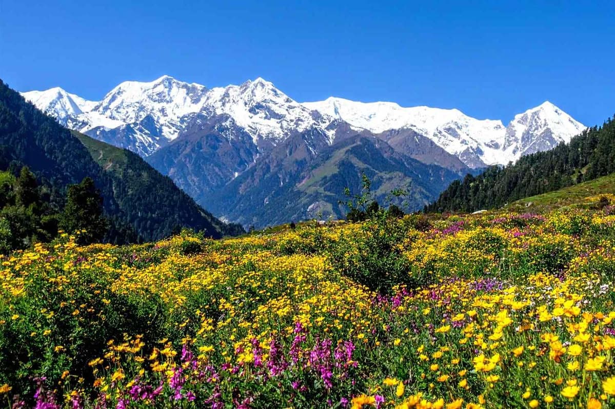 Valley of Flowers Trek: Best Time to Visit