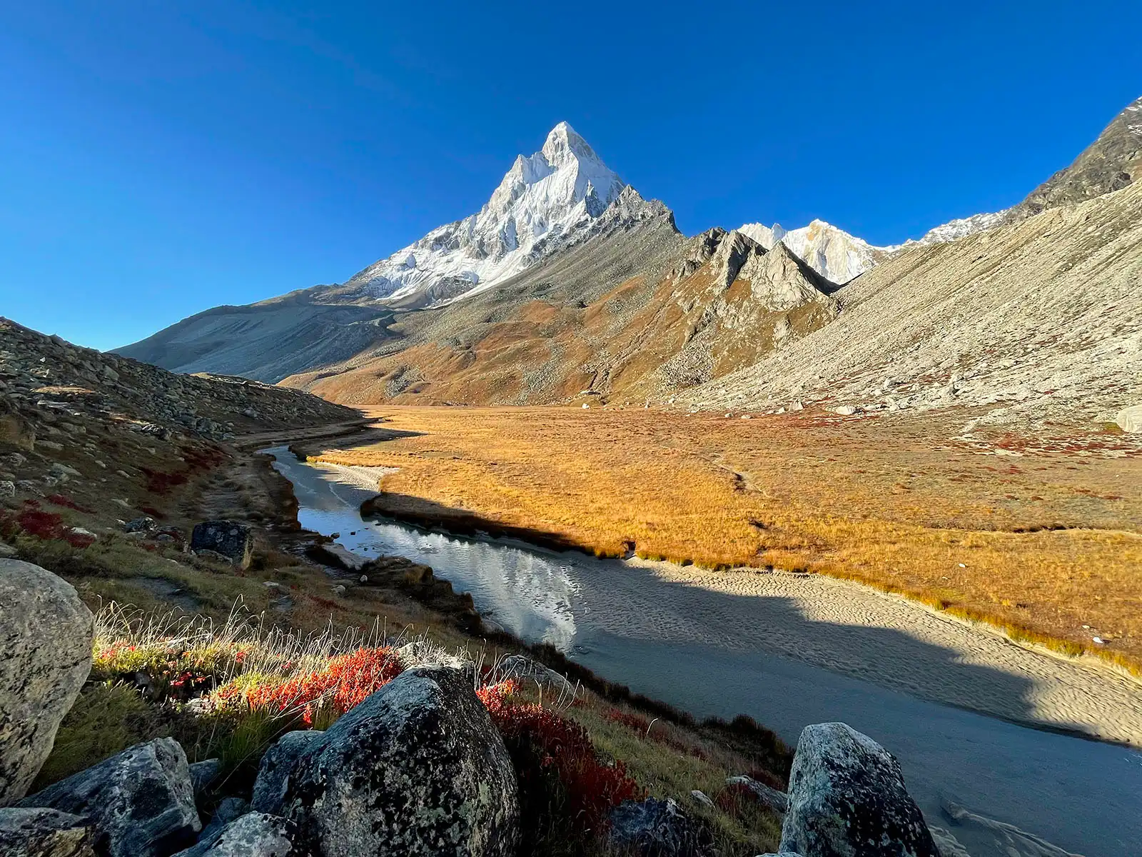 Trek View