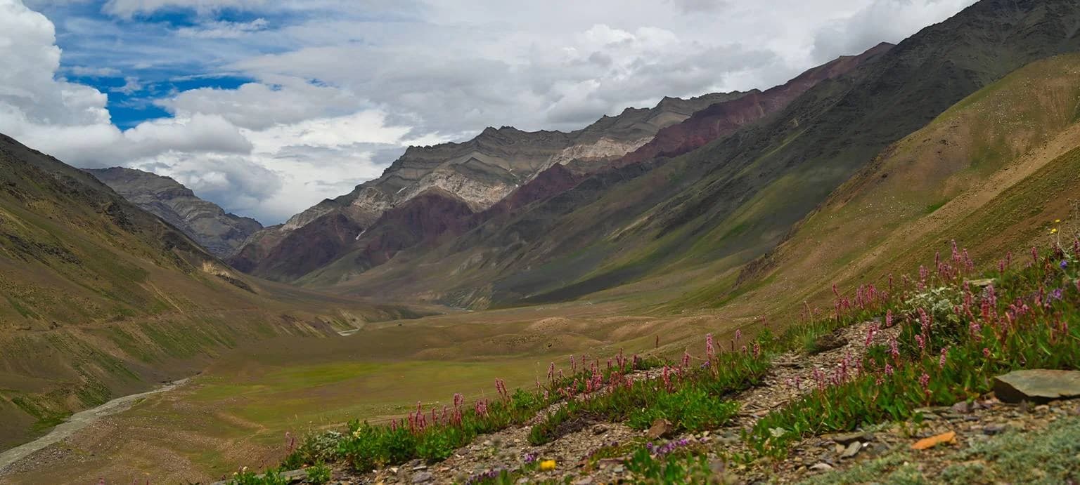 Trek View